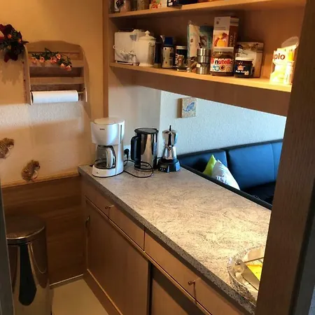Apartament Panoramic 2-zi.-appartment Hohegeiss *