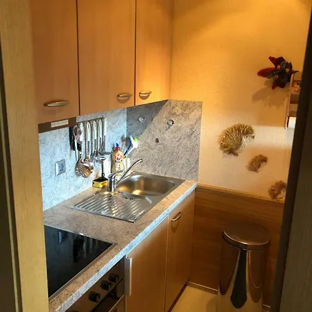 Apartament Panoramic 2-zi.-appartment Hohegeiss